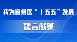 我為宣州區(qū)“十五五”發(fā)展建言獻(xiàn)策